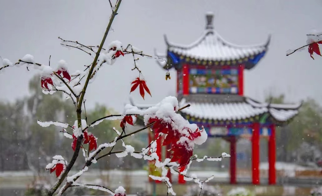 明德映像 | 初雪落，请欣赏明德校园的雪景大片！